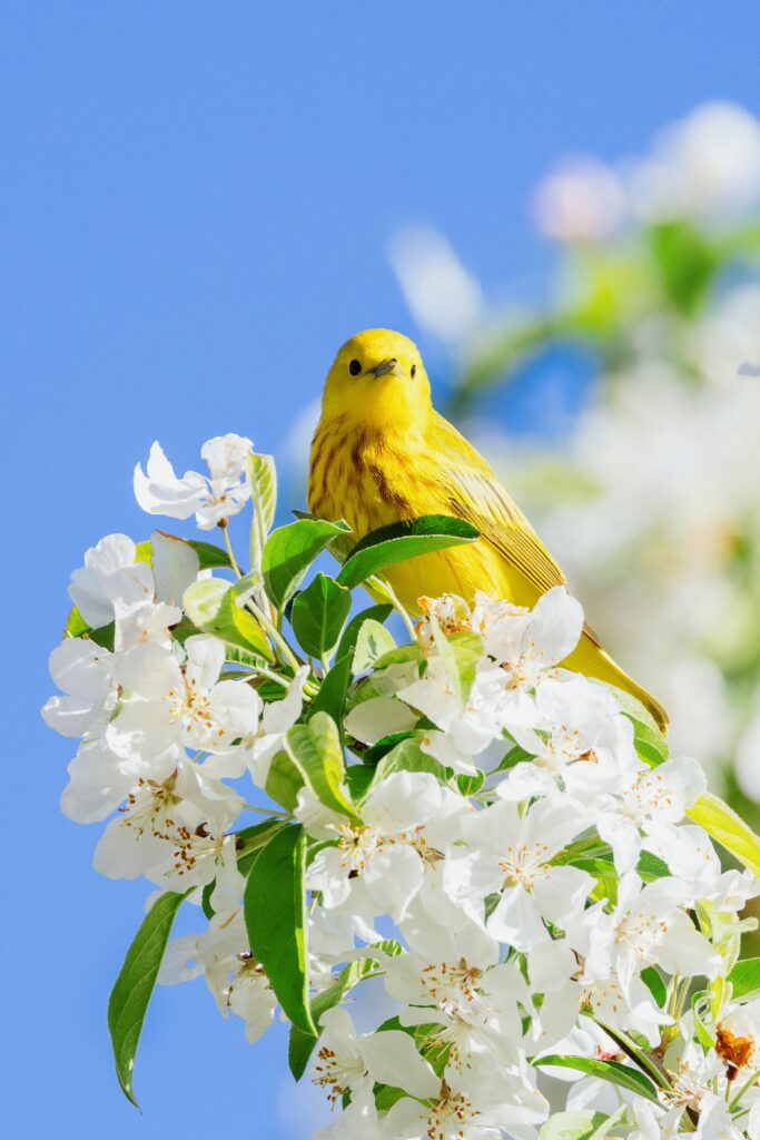 Spring Into Action!