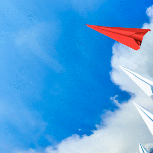 NSW Public Sector Grades 11-12 High Performance & Leadership Workshop